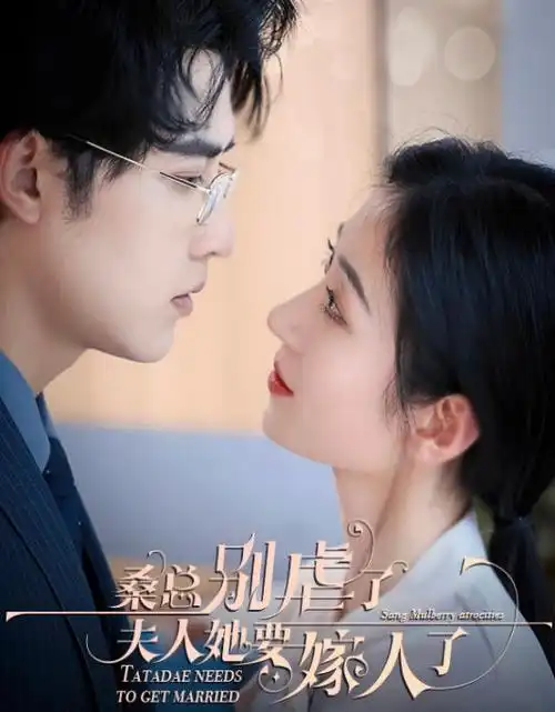 午马影院-2025经典电影